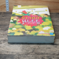 หนังสือ วิวาห์อลเวง รูปที่ 4