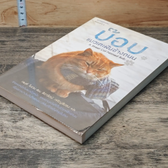 บ๊อบ แมวเตะฝันข้างถนน A Street Cat Named Bob รูปที่ 4
