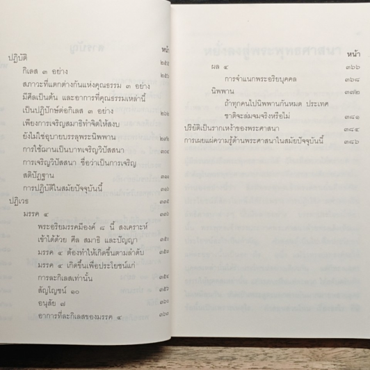 หยั่งลงสู่พระพุทธศาสนา รูปที่ 9