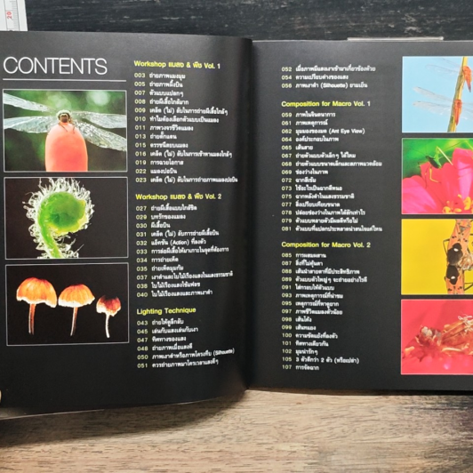 Easy Macro Workshop รูปที่ 7