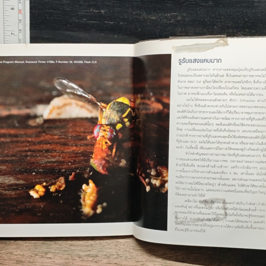 Easy Macro Workshop รูปที่ 10