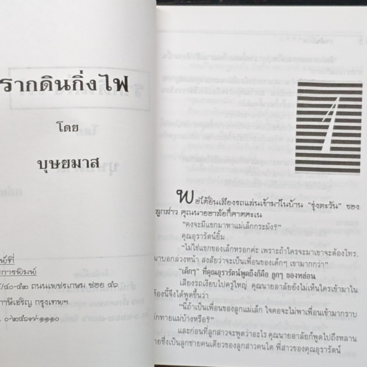 รากดินกิ่งไฟ รูปที่ 6