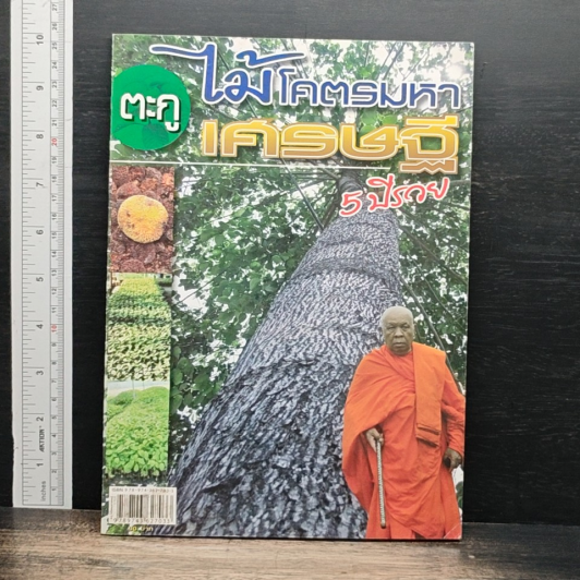 ตะกู ไม้โคตรมหาเศรษฐี 5 ปีรวย รูปที่ 1