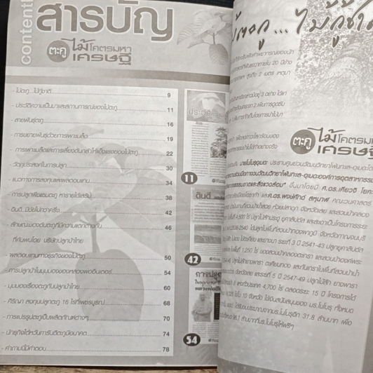 ตะกู ไม้โคตรมหาเศรษฐี 5 ปีรวย รูปที่ 6