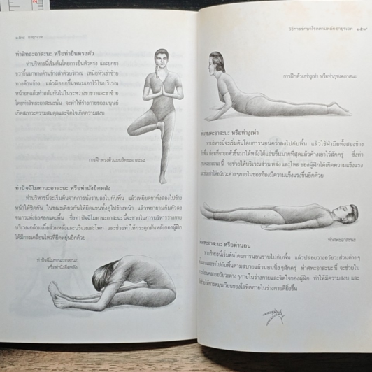 หลักธรรมชาติบำบัดโรค อายุรเวท เคล็ดลับสู่การมีสุขภาพดีตามธรรมชาติ รูปที่ 8
