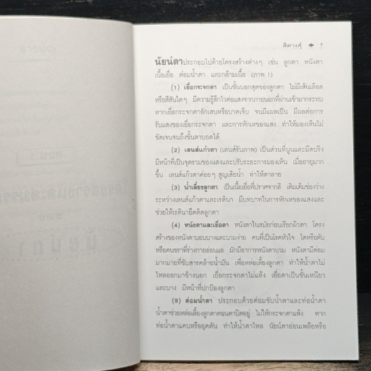 กดจุดรักษาโรคเกี่ยวกับตา รูปที่ 7