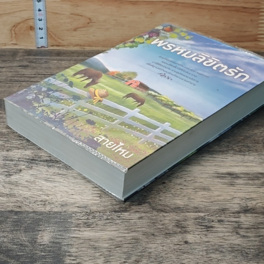 หนังสือ พรหมลิขิตรัก รูปที่ 3