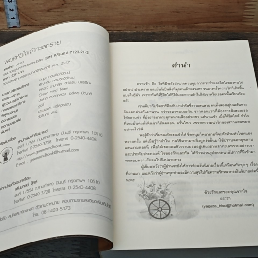พยศหัวใจเจ้าทะเลทราย รูปที่ 6