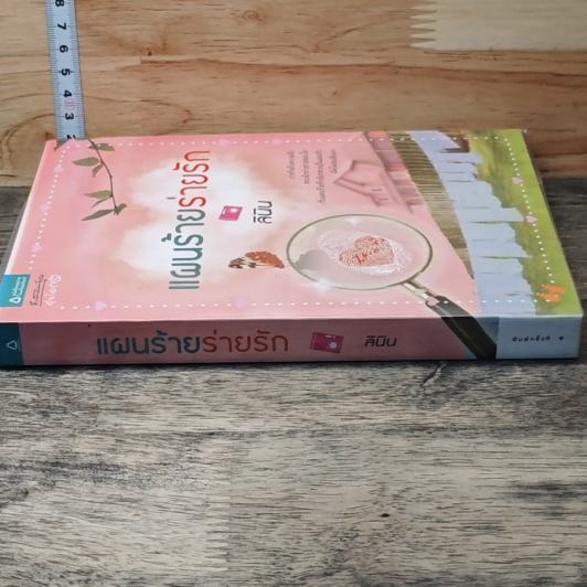 หนังสือ แผนร้ายร่ายรัก รูปที่ 2