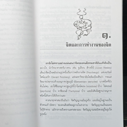 ปรากฏการณ์ทางจิต รูปที่ 8