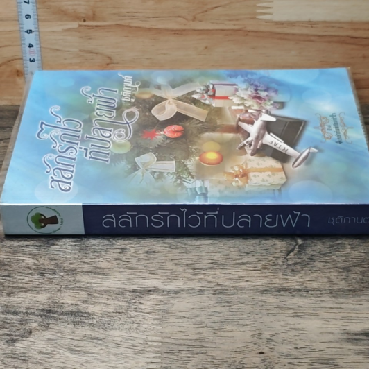 หนังสือ สลักรักไว้ที่ปลายฟ้า รูปที่ 2