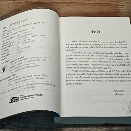 หนังสือ สลักรักไว้ที่ปลายฟ้า รูปที่ 6