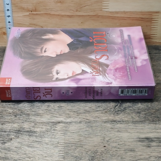 หนังสือ เจ้าสาวรายวัน รูปที่ 2