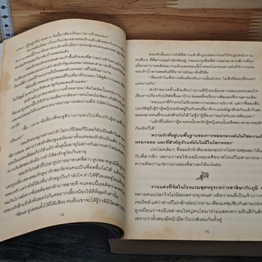 หนังสือ เจ้าสาวรายวัน รูปที่ 6