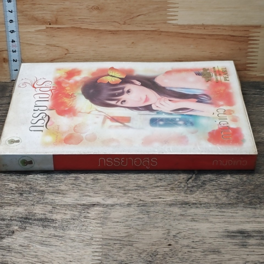 หนังสือ ภรรยาอสูร รูปที่ 2