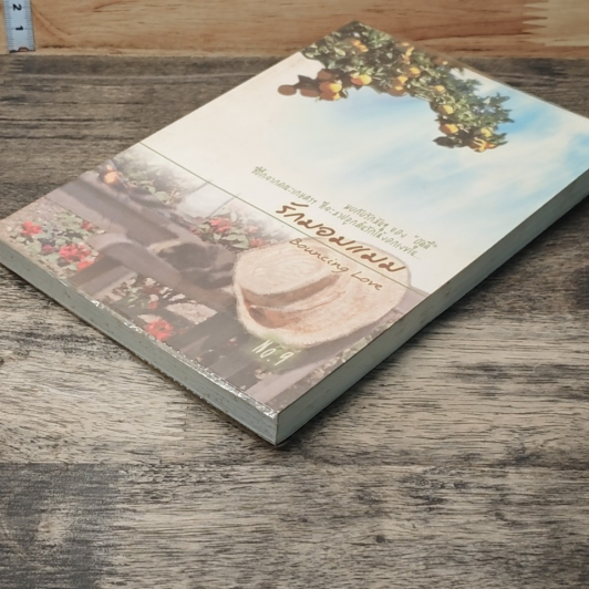 หนังสือ รักมอมแมม รูปที่ 3