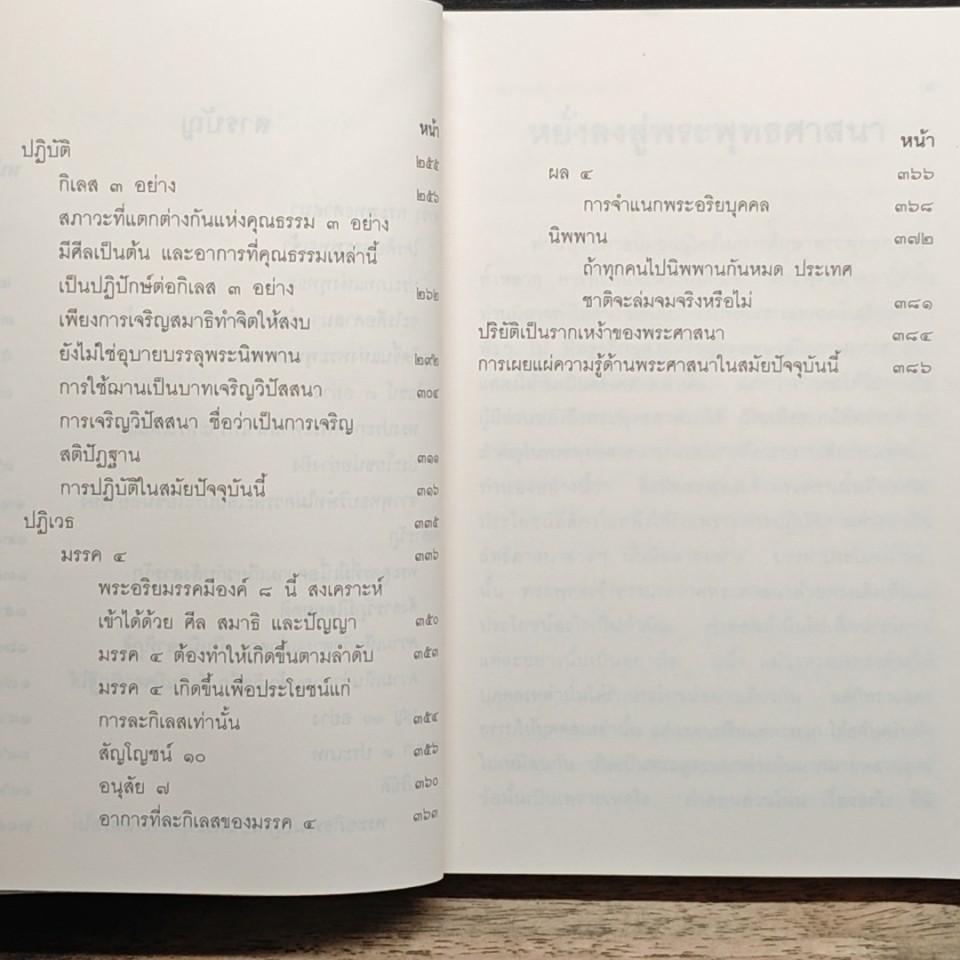 หยั่งลงสู่พระพุทธศาสนา รูปที่ 9