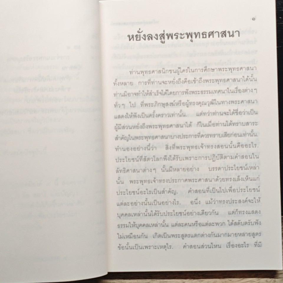 หยั่งลงสู่พระพุทธศาสนา รูปที่ 10