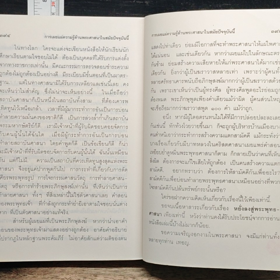 หยั่งลงสู่พระพุทธศาสนา รูปที่ 11