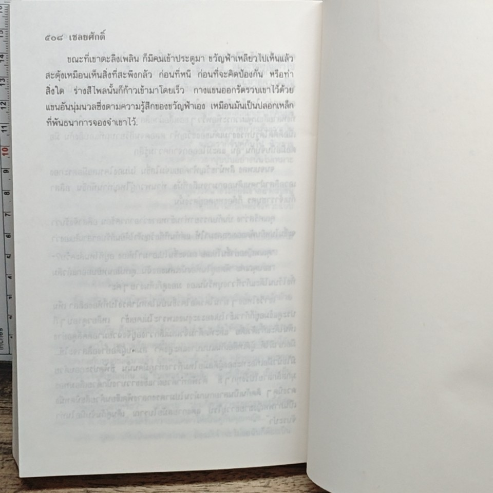 เชลยศักดิ์ รูปที่ 8