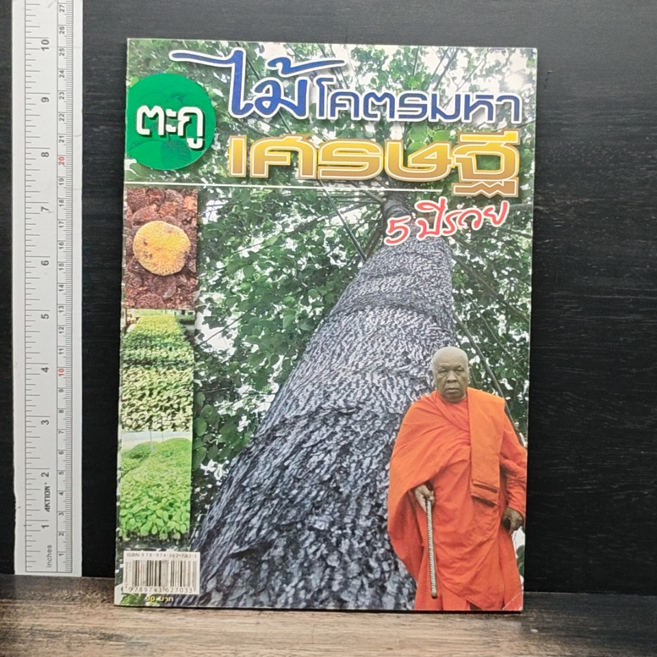 ตะกู ไม้โคตรมหาเศรษฐี 5 ปีรวย รูปที่ 1