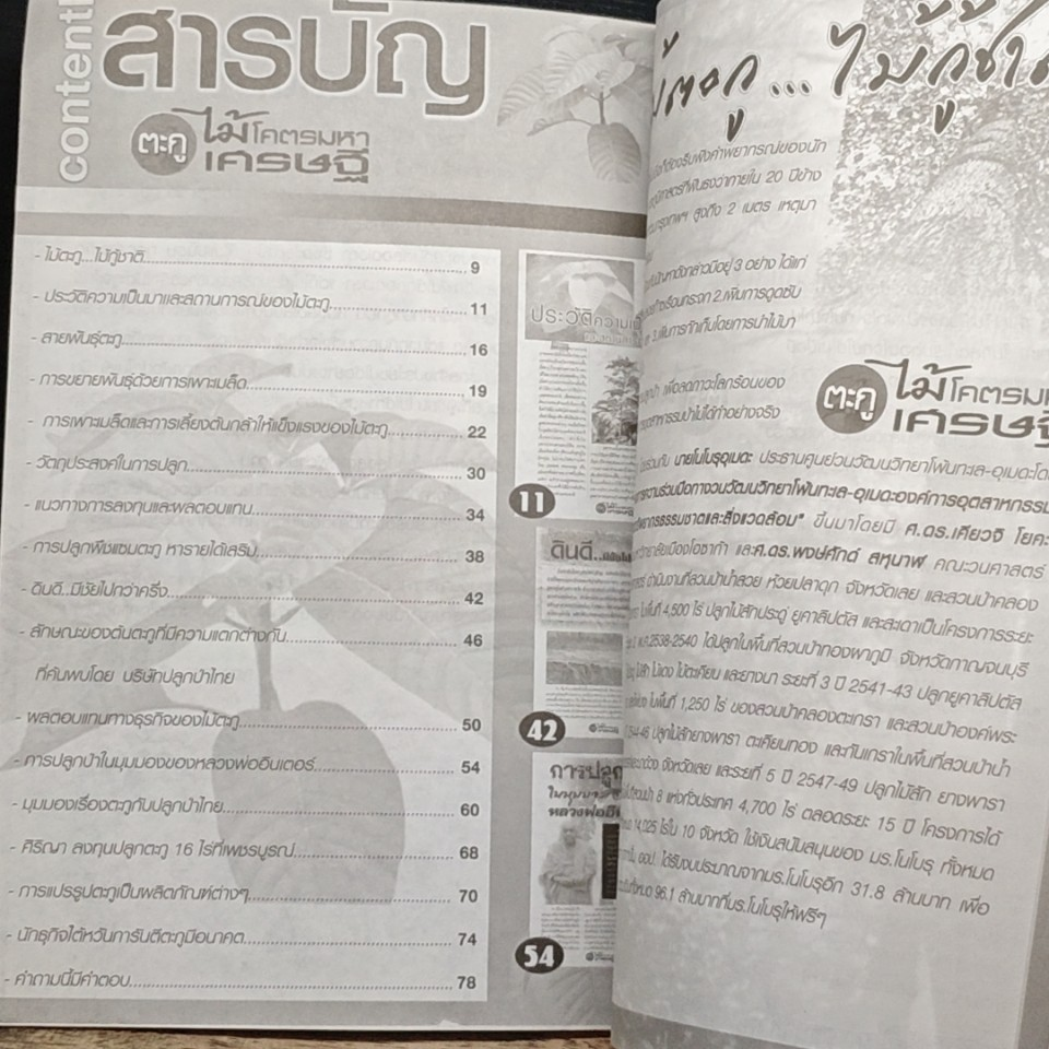 ตะกู ไม้โคตรมหาเศรษฐี 5 ปีรวย รูปที่ 6