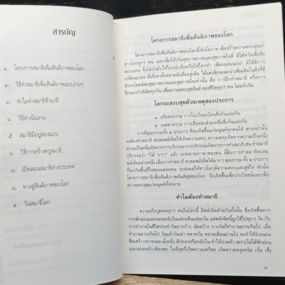 สมาธิเพื่อสันติภาพ สร้างสันติสุขให้ชาวโลก รูปที่ 6