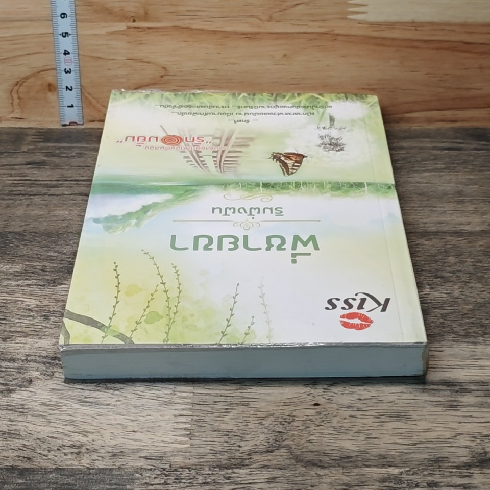 หนังสือ พี่ชายขา รูปที่ 4