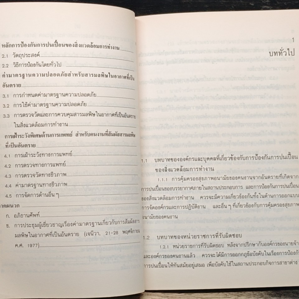 การประกอบอาชีพที่ต้องสัมผัสกับสารมลพิษในอากาศซึ่งเป็นอันตรายต่อสุขภาพ รูปที่ 10
