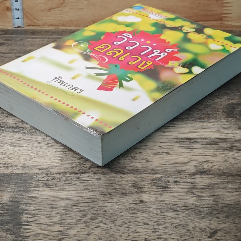 หนังสือ วิวาห์อลเวง รูปที่ 2