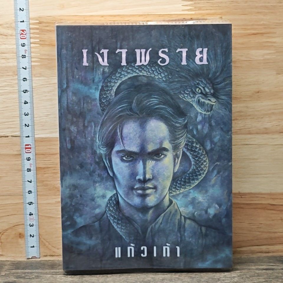 เงาพราย รูปที่ 1