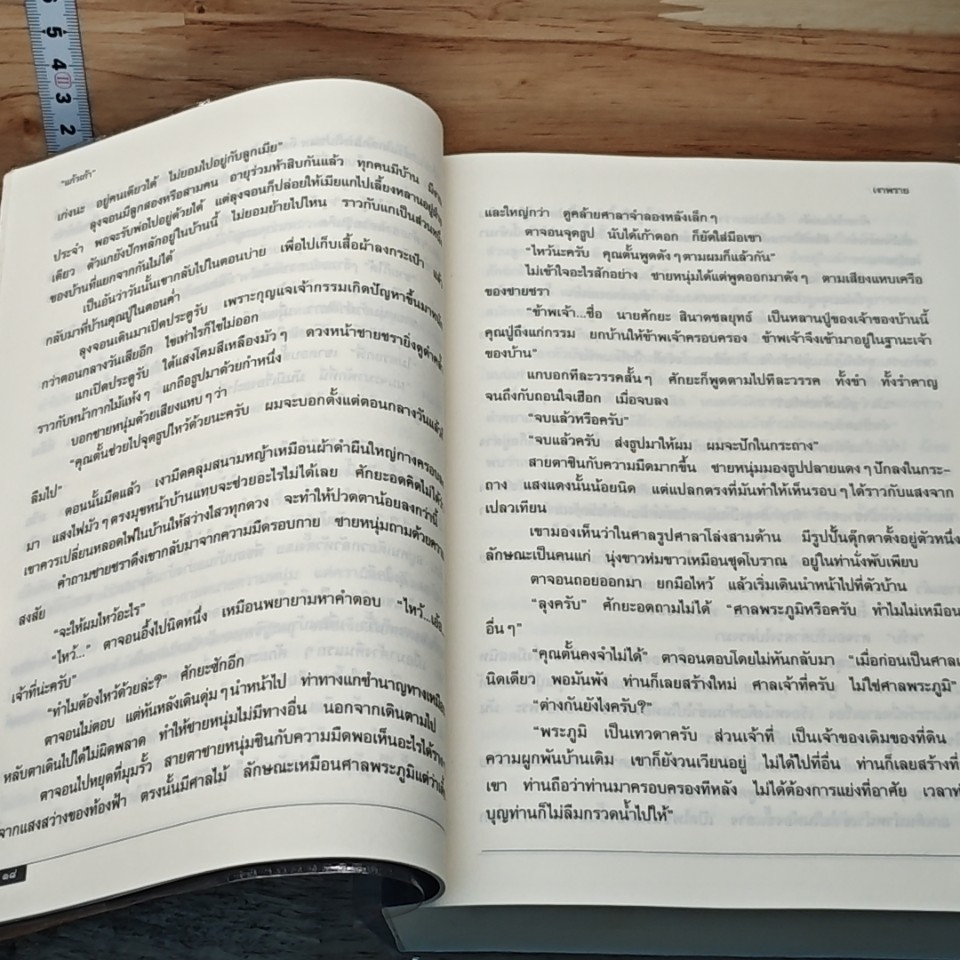 เงาพราย รูปที่ 8