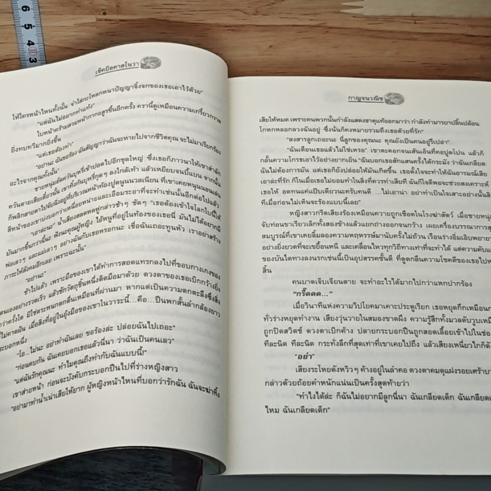 หนังสือ เช็คบิลคาสโนวา รูปที่ 7