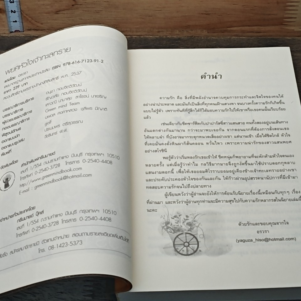 พยศหัวใจเจ้าทะเลทราย รูปที่ 6