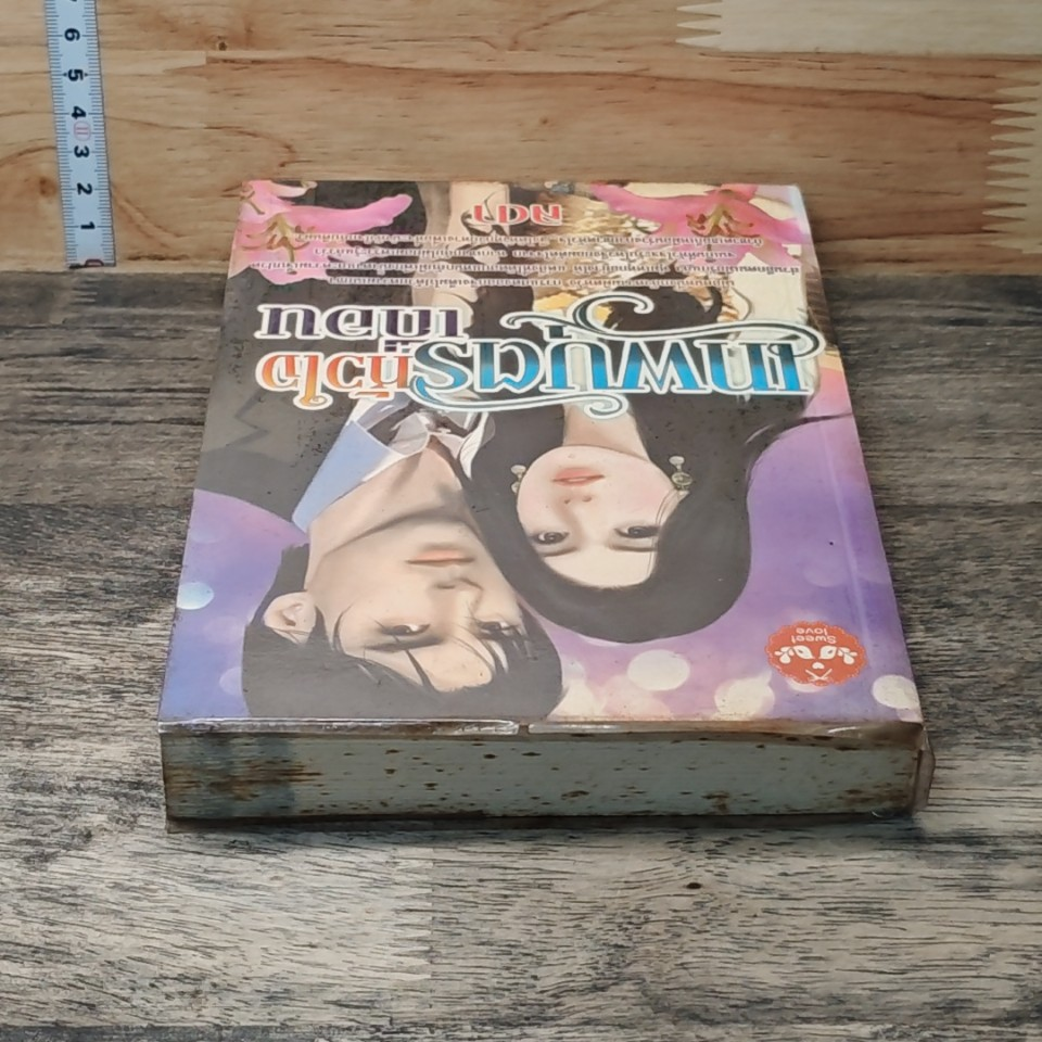 หนังสือ เทพบุตรหัวใจเถื่อน รูปที่ 3