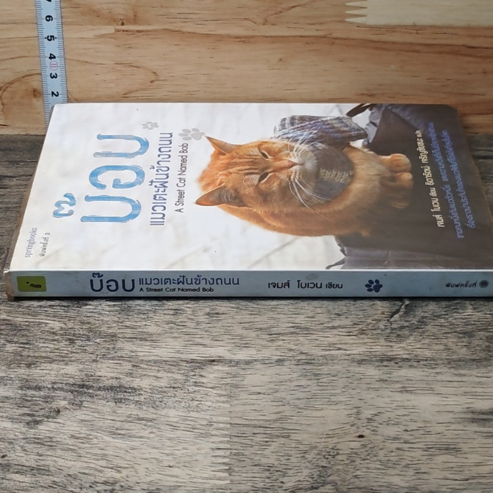 บ๊อบ แมวเตะฝันข้างถนน A Street Cat Named Bob รูปที่ 2