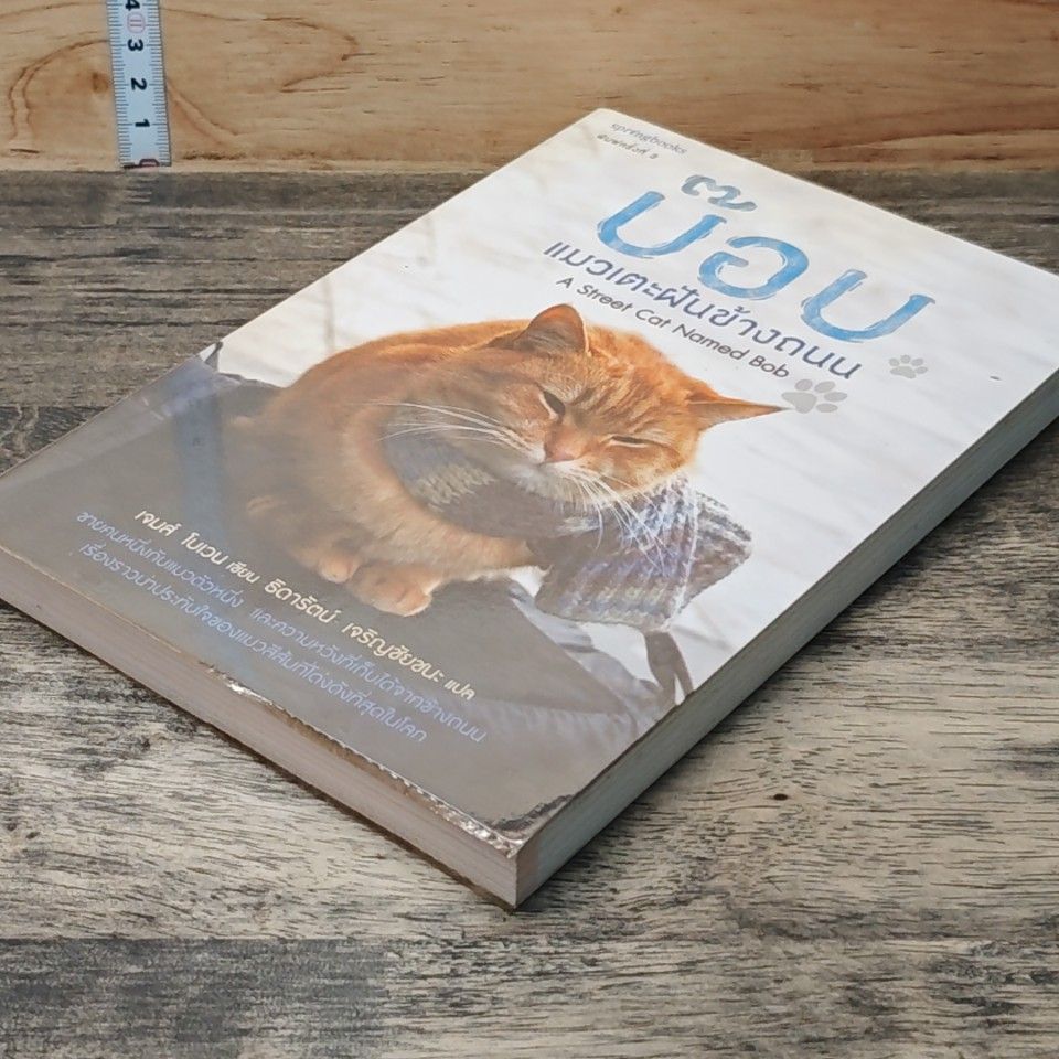 บ๊อบ แมวเตะฝันข้างถนน A Street Cat Named Bob รูปที่ 4