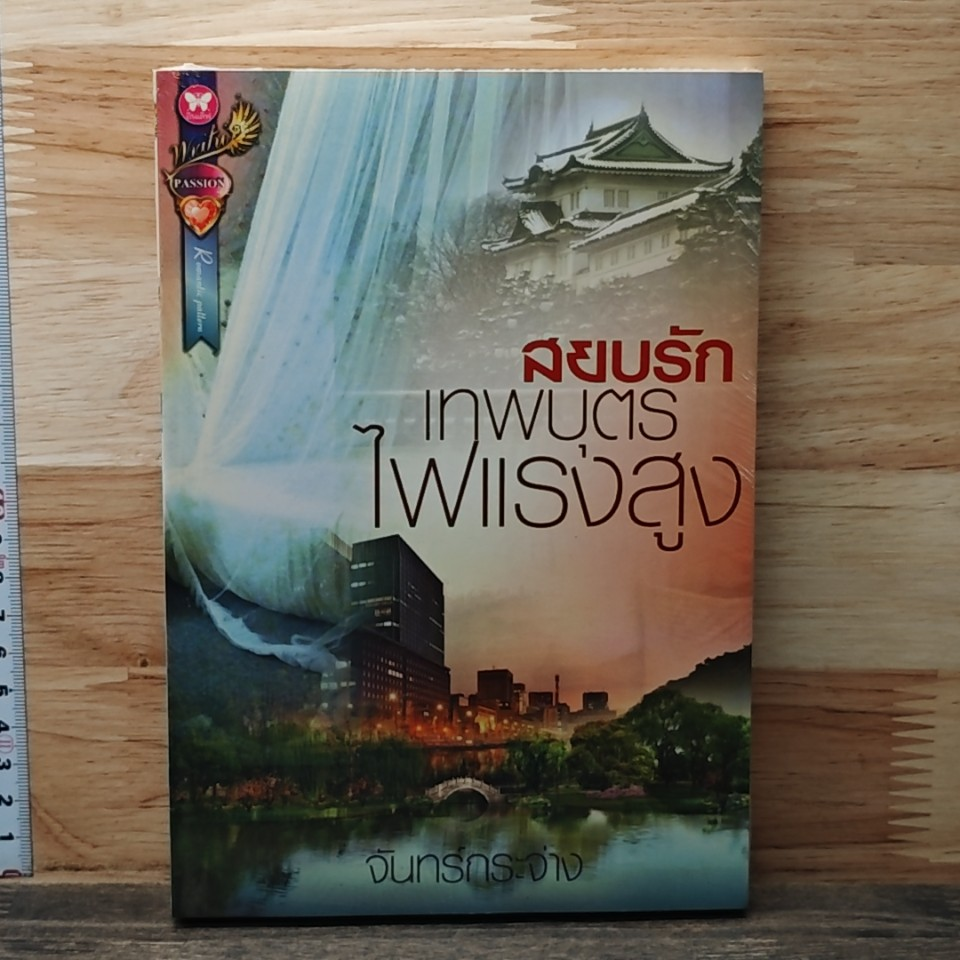 หนังสือ สยบรักเทพบุตรไฟแรงสูง รูปที่ 1