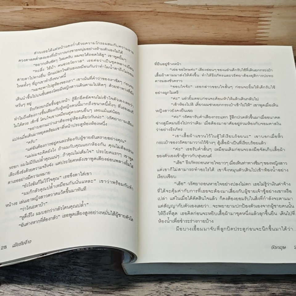 เมียรับจ้าง รูปที่ 6