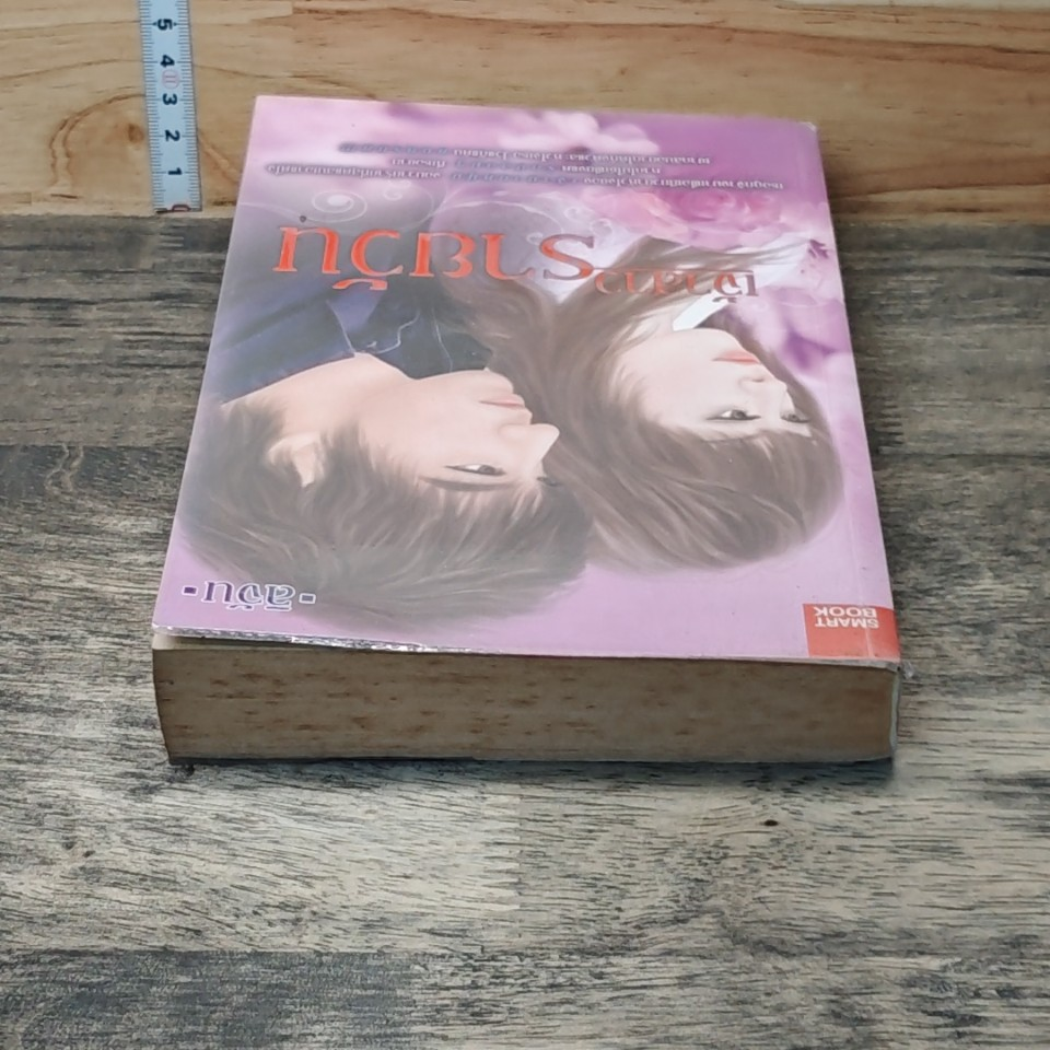 หนังสือ เจ้าสาวรายวัน รูปที่ 3
