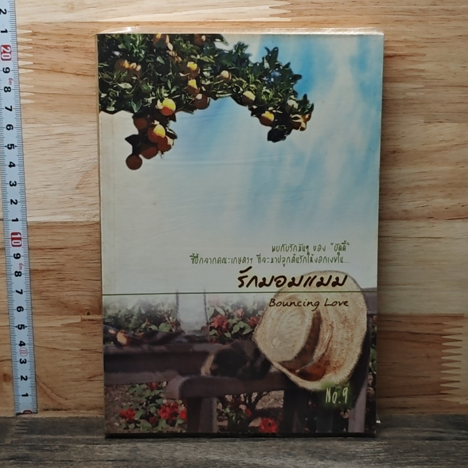 หนังสือ รักมอมแมม รูปที่ 1