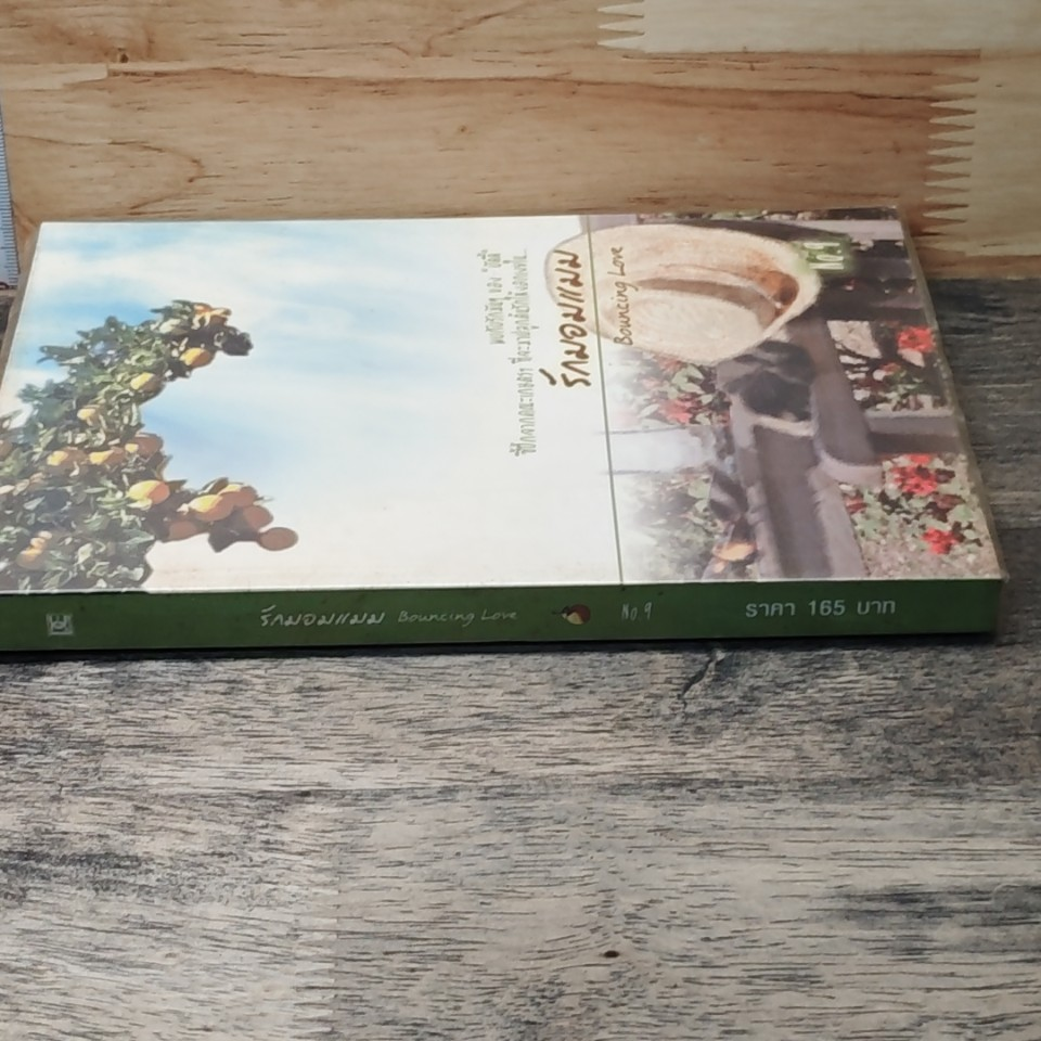 หนังสือ รักมอมแมม รูปที่ 2