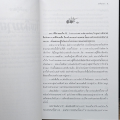 เพลิงมายา รูปที่ 6