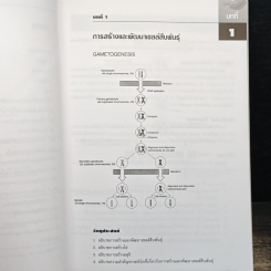 Embryology วิทยาเอ็มบริโอ รูปที่ 8