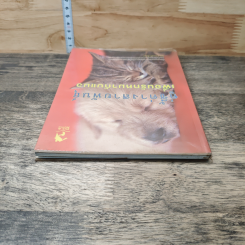 หนังสือ คู่ซี้ต่างสายพันธุ์ เพื่อนรักหมากับแมว รูปที่ 4