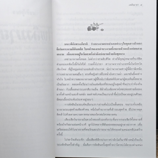 เพลิงมายา รูปที่ 6