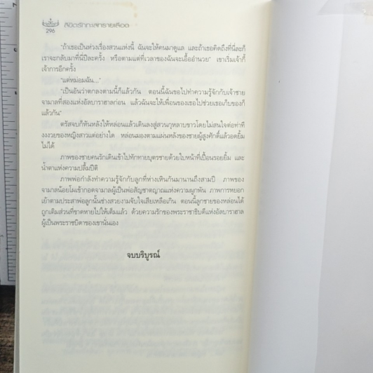 ลิขิตรักทะเลทรายเลือด รูปที่ 8
