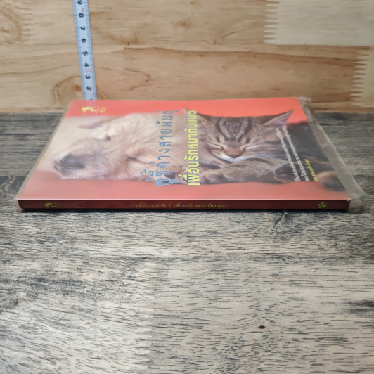 หนังสือ คู่ซี้ต่างสายพันธุ์ เพื่อนรักหมากับแมว รูปที่ 2