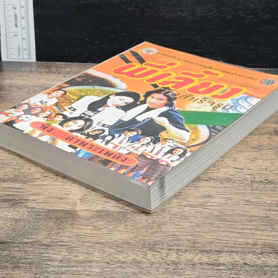 หนังสือ พี่เลี้ยงกึ่งสำเร็จรูป รูปที่ 4