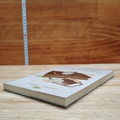 หนังสือ ภาพฟันวันรัก รูปที่ 4